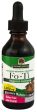 NATURE S ANSWER - Fo-Ti Cured Root Extract - 2 fl. oz. (60 ml) Sale