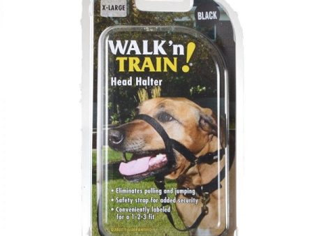 COASTAL - Walk  n Train Dog Head Halter Size 4 Black - 1 Halter Fashion