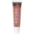 BURT S BEES - Lip Shine Peachy - 0.5 oz. (14 g) Sale