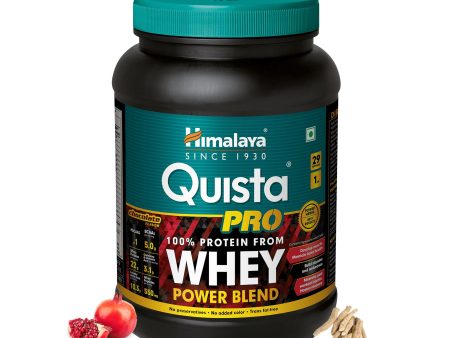 Quista PRO (Chocolate) Online