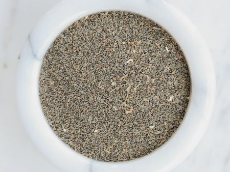 Khella Seed on Sale