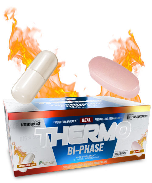 REAL THERMO Online