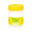 VASELINE CITRON - FINNY 125 ml Online