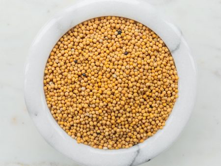 Mustard Seed, Yellow Online now