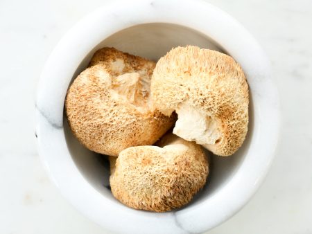 Lion s Mane Mushroom Cheap