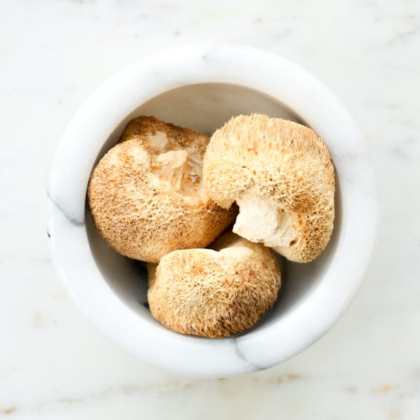 Lion s Mane Mushroom Cheap