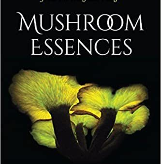 Mushroom Essences by Robert Rogers Sale