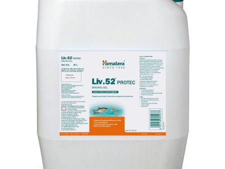 Himalaya Liv.52® PROTEC (Binding Gel, Powder) Online Sale