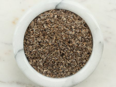 Queen Anne s Lace Seed Cheap