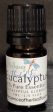 100% Pure Eucalyptus Essential Oil 5ml Cheap