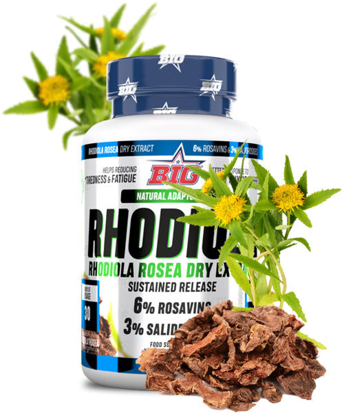 RHODIOLA on Sale