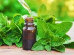 100% Pure Peppermint Essential Oil 5ml For Sale