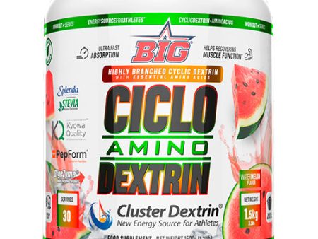 CICLO AMINO DEXTRIN [1500g] Sale