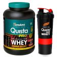 Quista PRO (Chocolate) Online