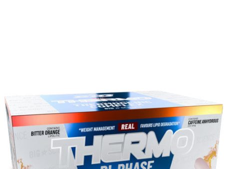 REAL THERMO Online