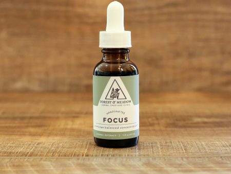 Focus Extract Formula Hot on Sale